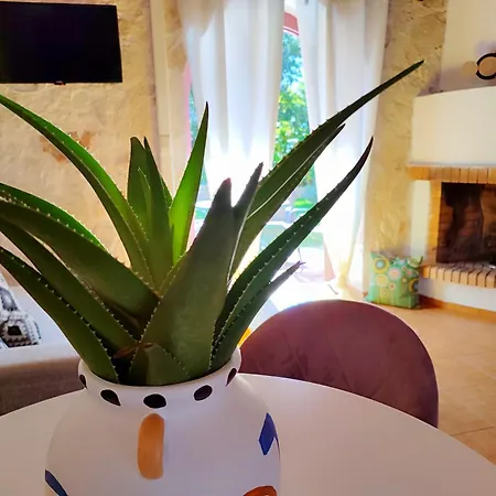 Semesterbostad Spasmata Village - Seaside Stone Maisonette Spacious & Quiet Only Adults *