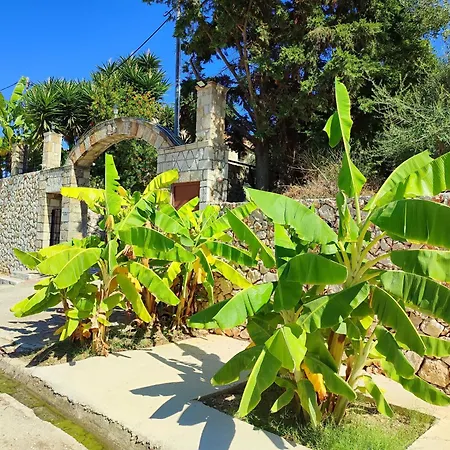 Spasmata Village Stone Maisonette Only Adults